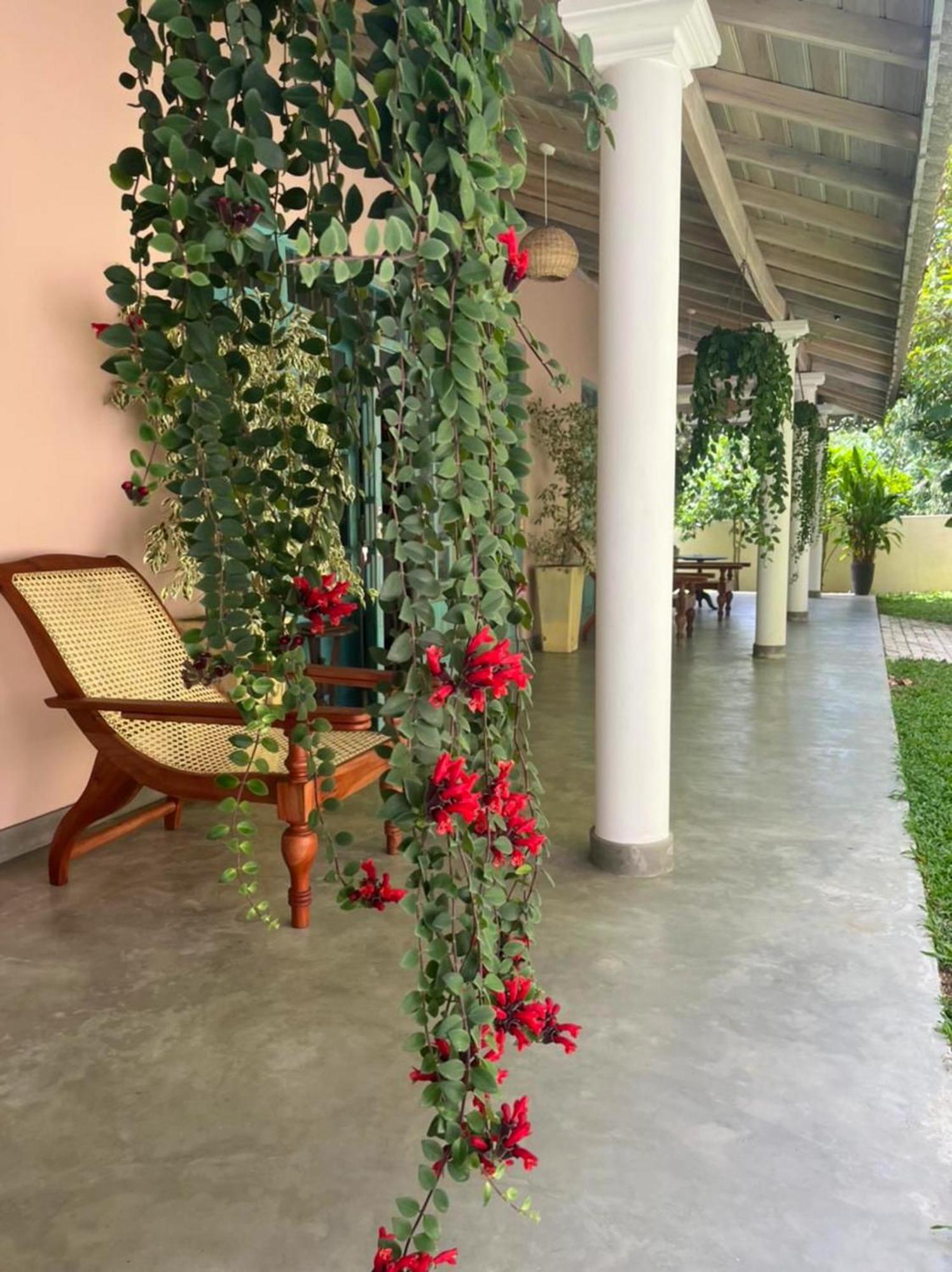 Ronaya Surf Waves Villa Диквела Екстериор снимка